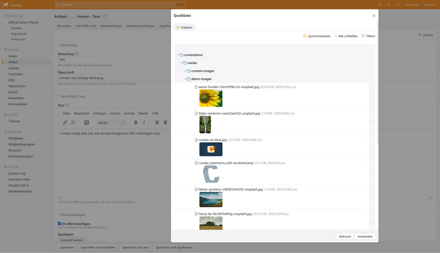 Bearbeitung von Inhalten im Backend von Contao